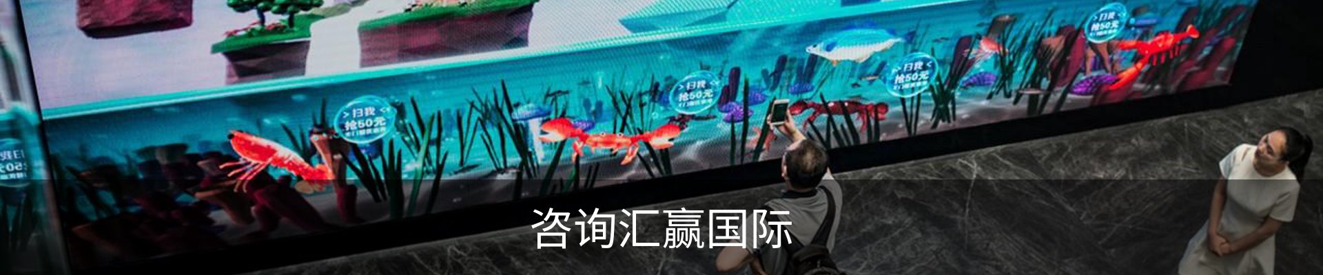 咨询汇赢国际