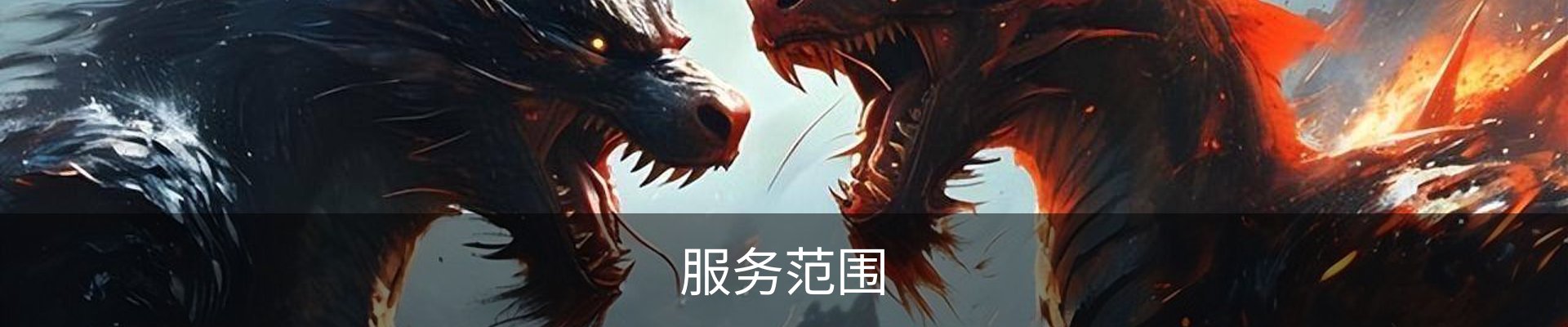 服务范围